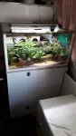 /theme/200l aquarium/23 completed tank and stand