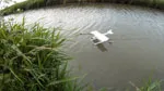 /theme/mini tow plane/12-floating-on-water