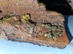 /theme/wwii/xmas25/wwii diorama 20 scenery additions broken tank tracks
